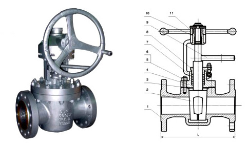 Connection Lift Plug Valve