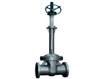 Class 150~600Lb Bellows Gate Valve