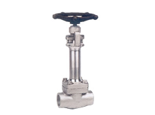 Forged Steel Cryogenic Globe Valve