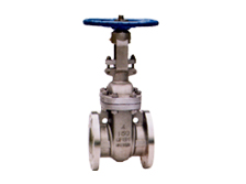 API gate valve 150-900LB