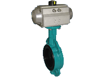 Pneumatic to the double-layered Butterfly valve