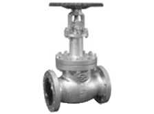 Low-temperature Globe Valve